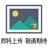 V型混合机